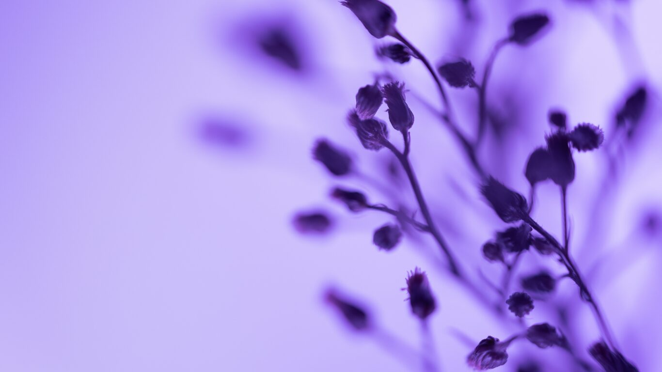 言葉のたね帳 編集室